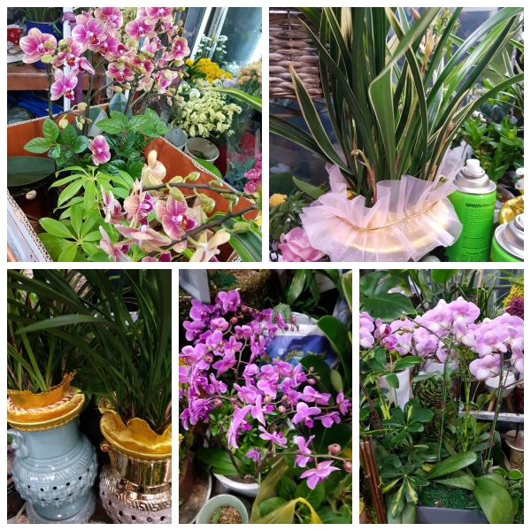 �����̹�������:layout 2019-12-30.jpg